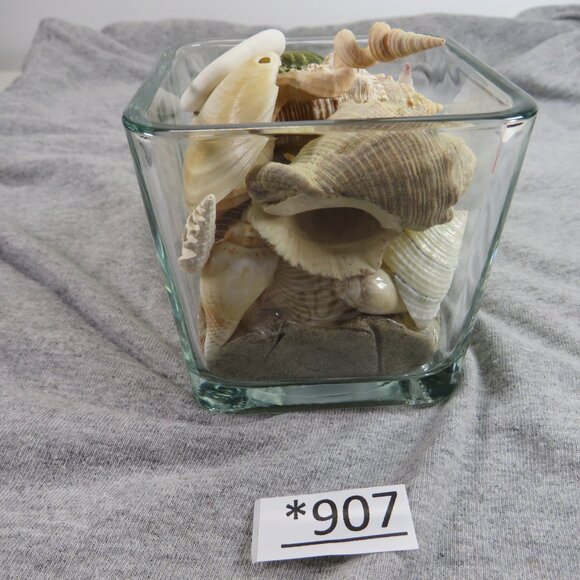 REAL Sea Shells in a Glass Square Vase and sand #12 - Picture 3 of 11
